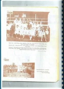 Articles Import