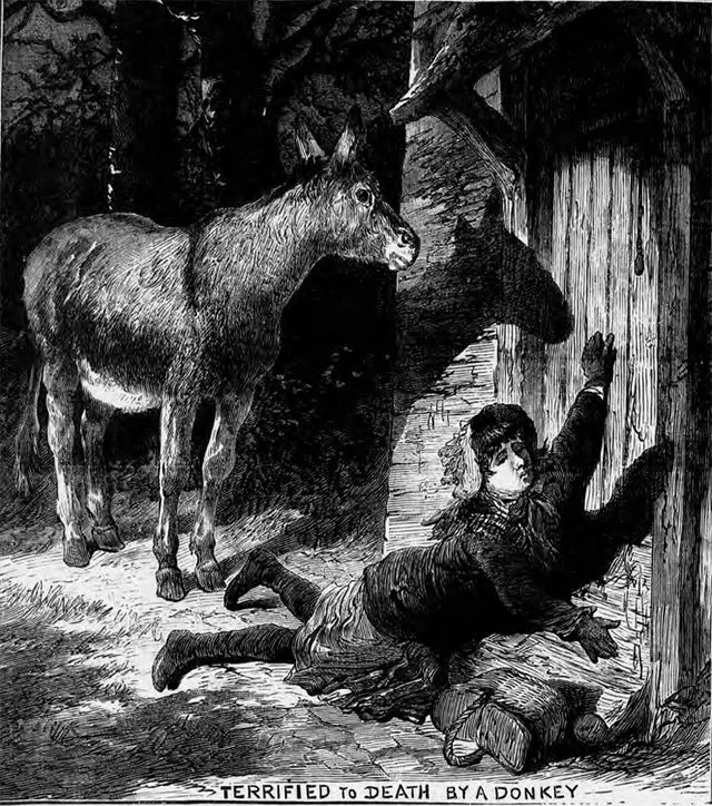 The Illustrated Police News reported that a child had been terrified to death by a donkey