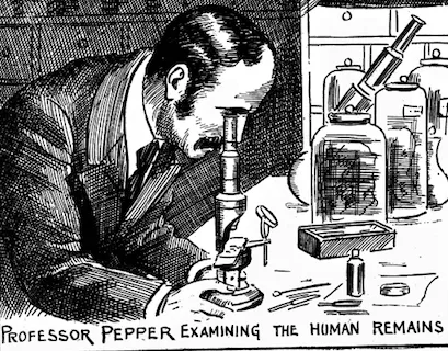 Pepper examines remains