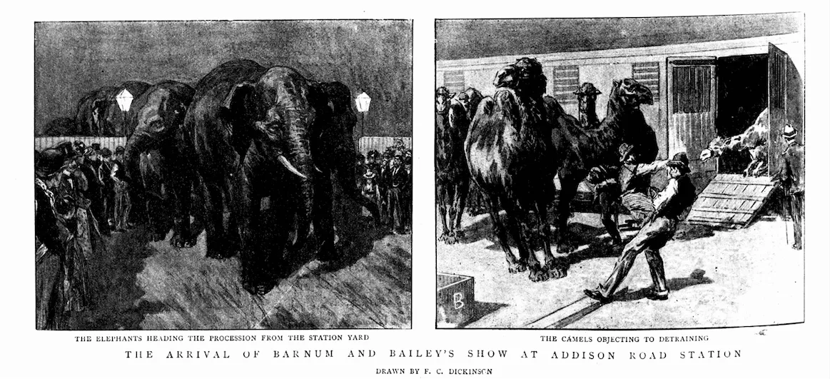 Barnum and Bailey