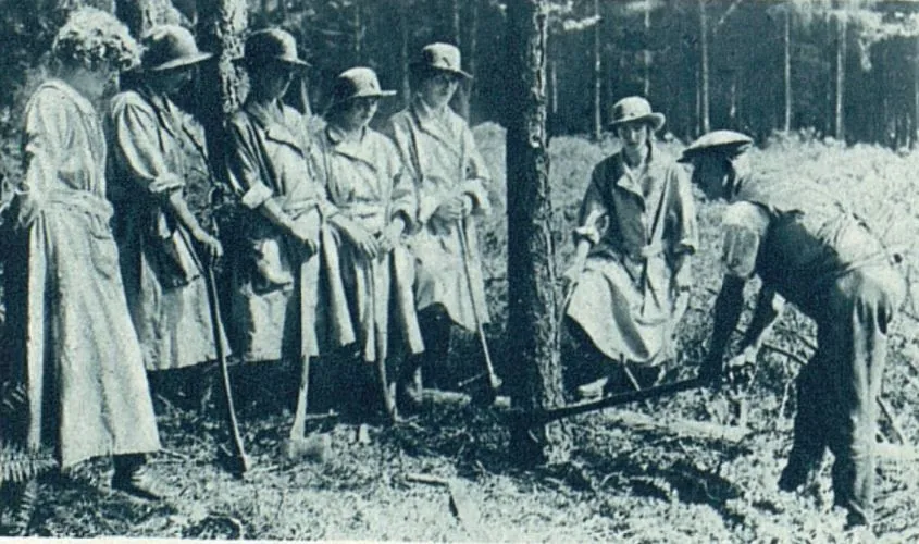 First World War timber girls