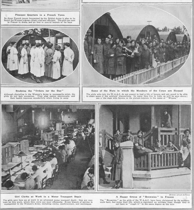 Weomn's Army Auxiliary Corps First World War