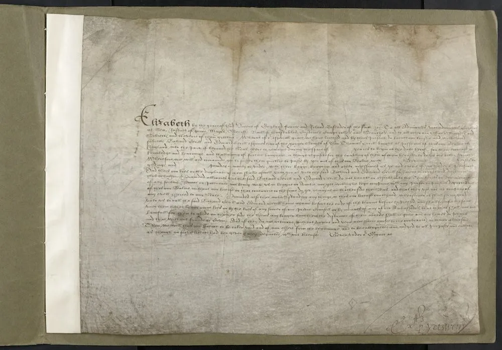 Hand-written single-page document containing a license to travel abroad