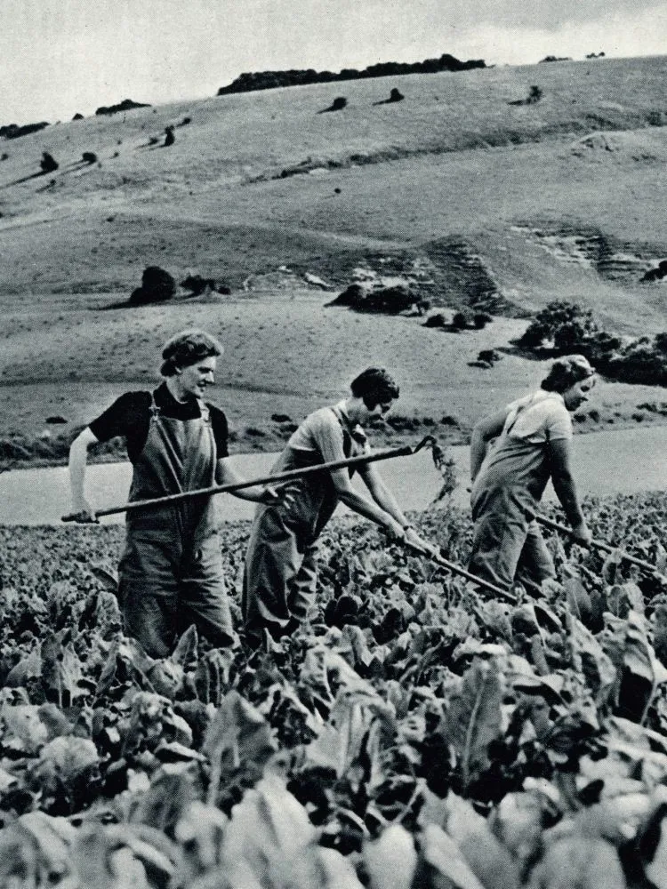 A group of six women labouring the fields during Second World War